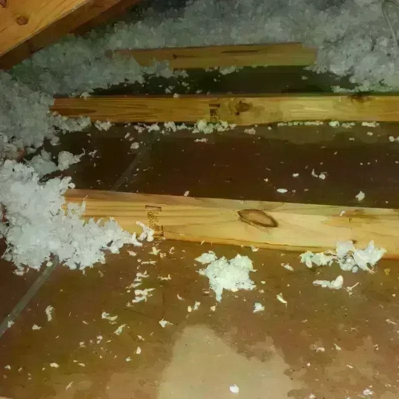 Attic Water Damage in Wauchula, FL