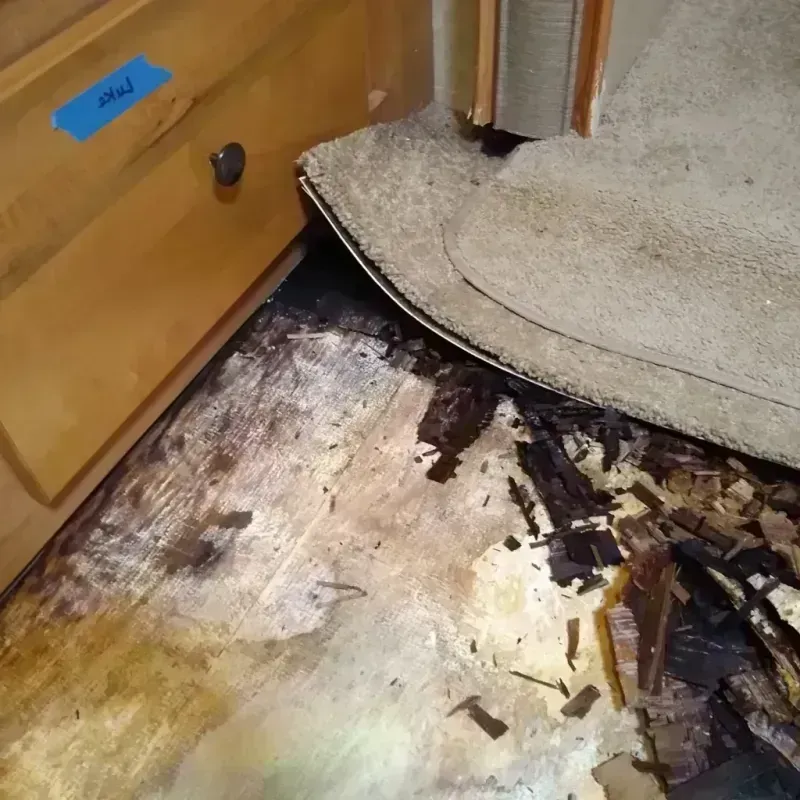 Wood Floor Water Damage in Wauchula, FL